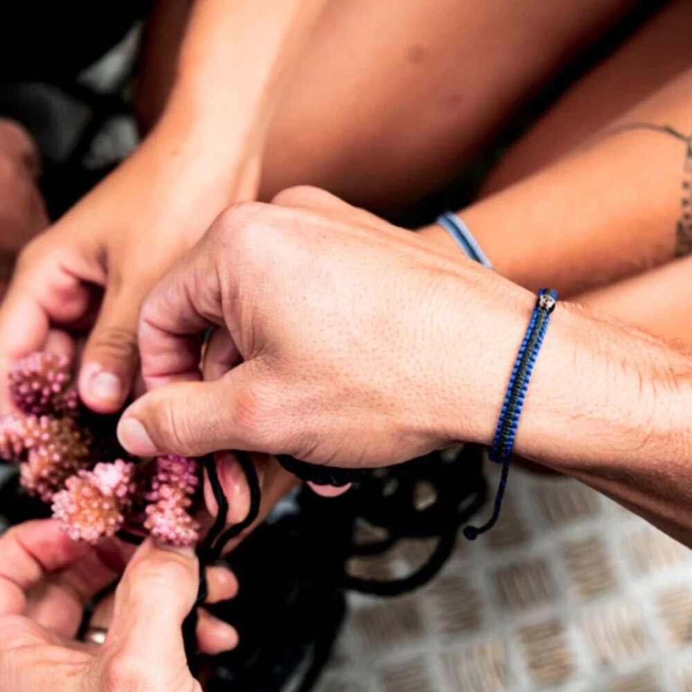 4Ocean x Coral Restoration Bracelet Acropora Muricata
